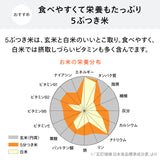 コンパクト精米器