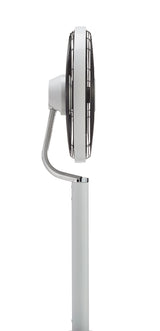 ピルエット(PIROUETTE)ホワイト