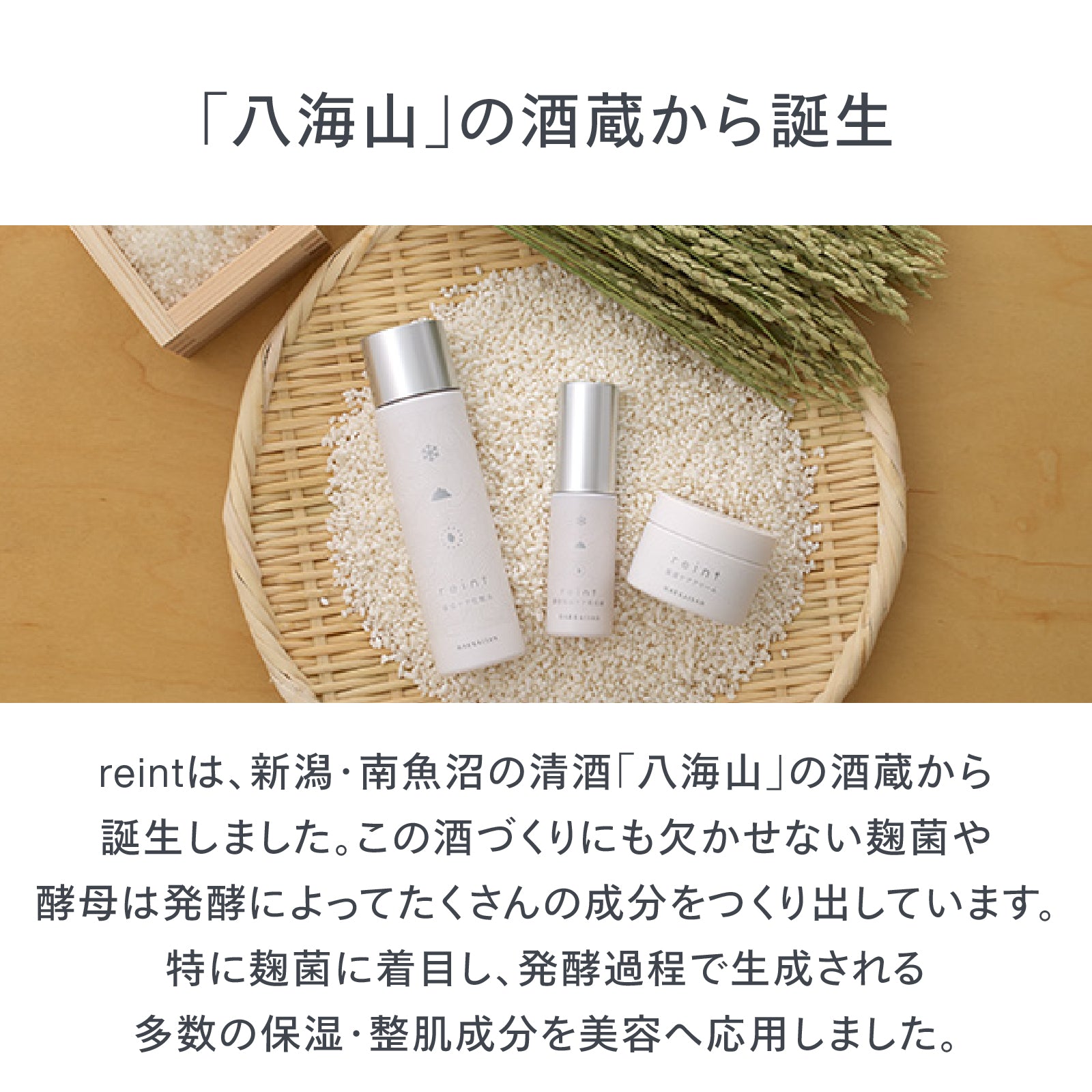 reint 保湿ケア化粧水 – ツインバード公式ストア