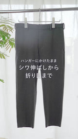 はさめる衣類スチーマー